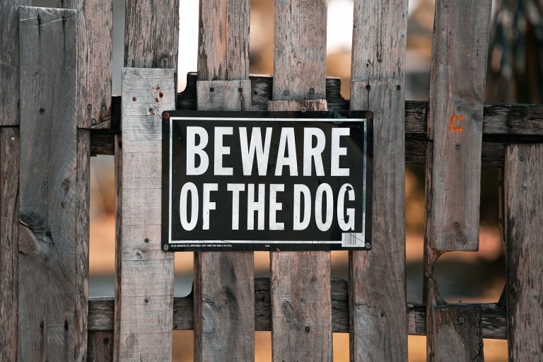 Beware! Danger Lurks